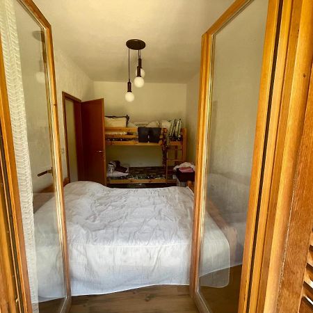 Apartment Olive Grove Izola Dış mekan fotoğraf