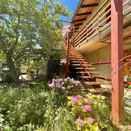 Apartment Olive Grove Izola Dış mekan fotoğraf