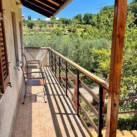 Apartment Olive Grove Izola Dış mekan fotoğraf